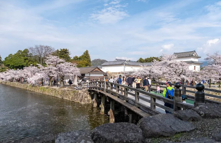 Hikone Castle, Japan